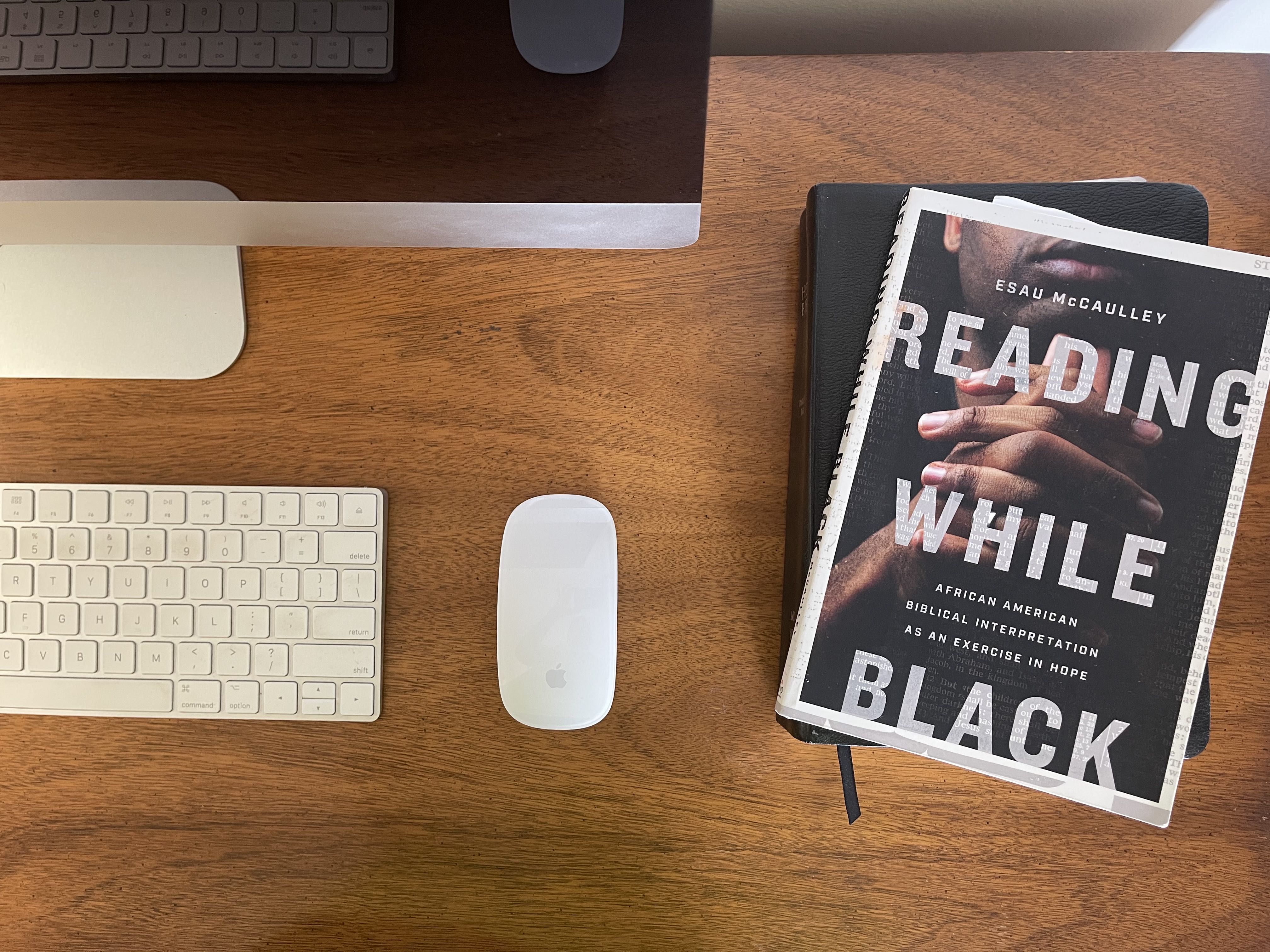 Reading While Black Book Study